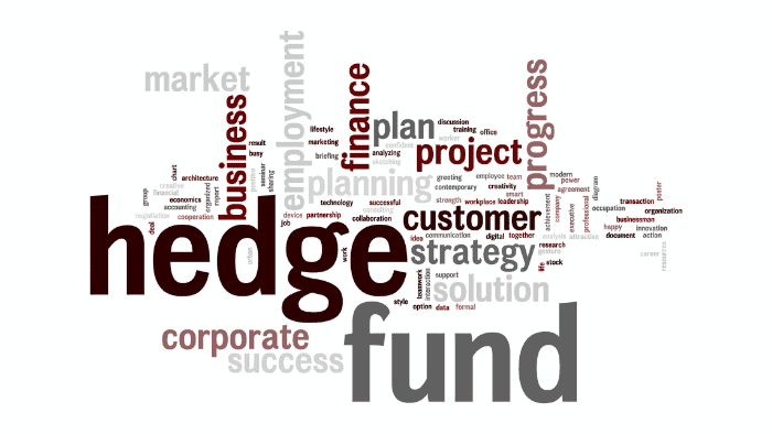 The hedge fund journey: One year later…